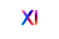 xi group